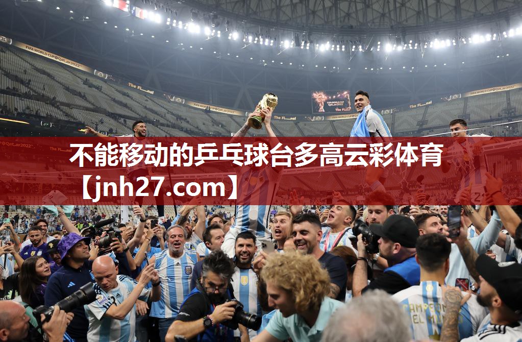 不能移动的乒乓球台多高云彩体育