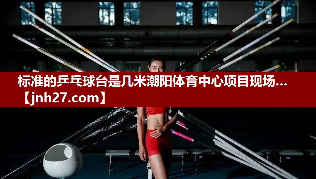 标准的乒乓球台是几米潮阳体育中心项目现场…