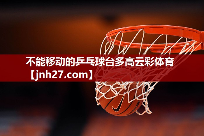 不能移动的乒乓球台多高云彩体育