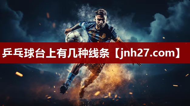 乒乓球台上有几种线条