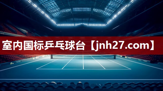 室内国标乒乓球台